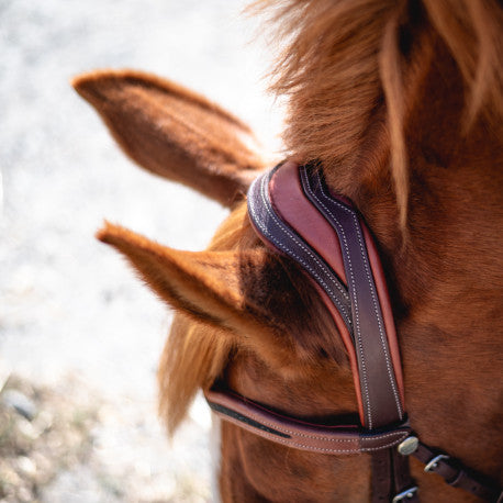 Devoucoux Makila Crytal Bridle